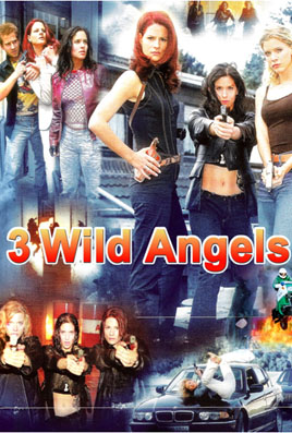 3 Wild Angels