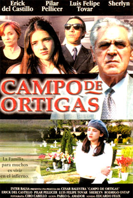 Campo de Ortigas