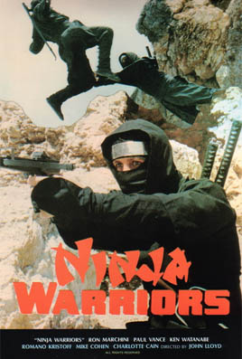 Ninja Warriors