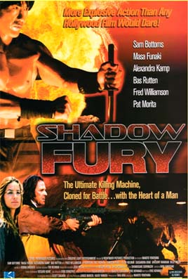 Shadow Fury